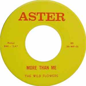 Download The Wild Flowers - More Than Me / Moving Along With The Sun