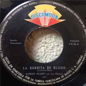 Download Alfredo Peluffo con Los Playeros - La Burrita De Eliseo