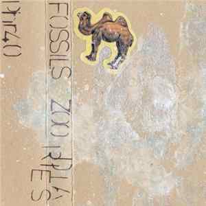 Download Fossils - Zoo Diaries