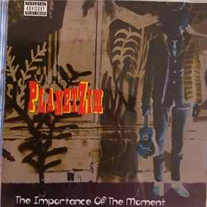 Download Planet Zim - The Importance Of The Moment