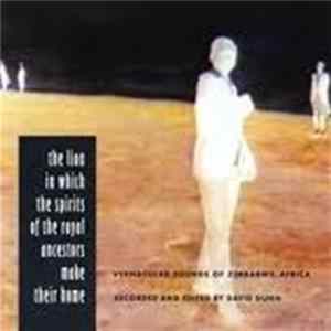 Download David Dunn - The Lion In Which The Spirits Of The Royal Ancestors Make Their Home