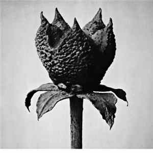 Download Masayoshi Fujita - Book Of Life