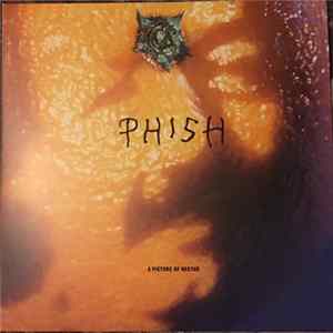 Download Phish - A Picture Of Nectar