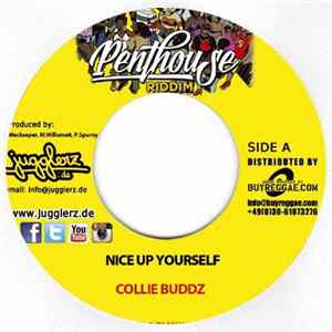 Download Collie Buddz - Nice Up Yourself