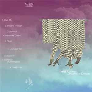 Download Wild Arrows - Dreamlike Dream