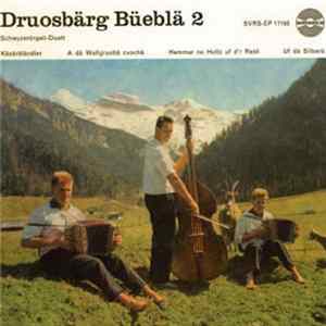 Download Druosbärg Büeblä