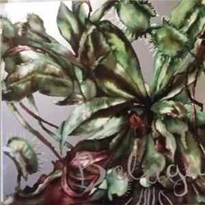 Download Beluga - Cowboy boots