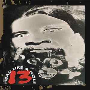 Download Head Like A Hole - 13
