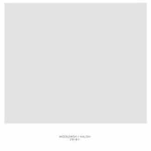 Download Stefan Wesołowski & Szymon Kaliski - 281011