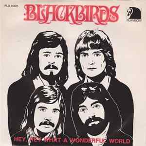 Download Blackbirds - Hey, Hey, What A Wonderful World