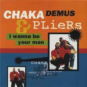 Download Chaka Demus & Pliers - I Wanna Be Your Man