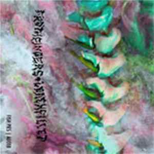 Download Loachfillet / Froth Fingers - Split Cassette