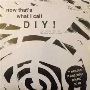 Download Various - Now That's What I Call DIY ! (Cult Classics From The Post-Punk Era 1978-82)