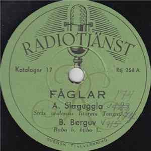 Download No Artist - Fåglar