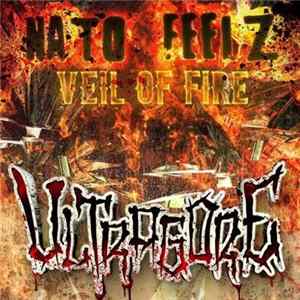 Download Nato Feelz - Veil Of Fire