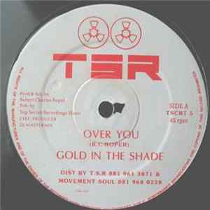 Download Gold In The Shade / Special Touch - Over You / Your So Good