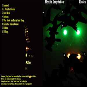 Download Electric Loopstation - Hidden