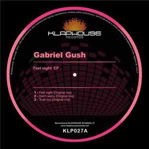 Download Gabriel Gush - Feel Night Ep