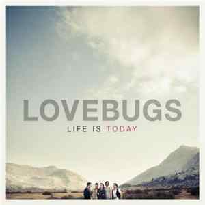 Download Lovebugs - Life Is Today