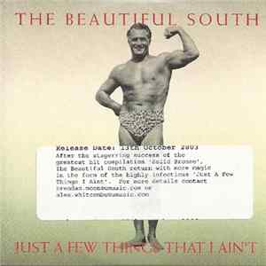 Download The Beautiful South - Just A Few Things That I Ain't