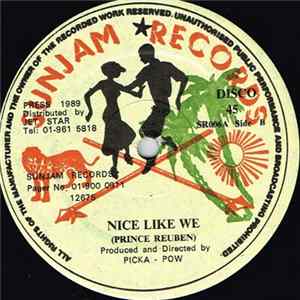 Download Picka-Pow / Prince Reuben - Ready Fe Dem / Nice Like We