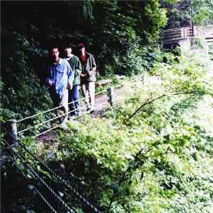 Download Fishmans - Long Season
