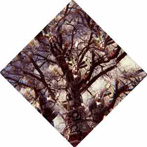 Download Manuel Jesus - Offline