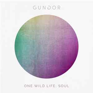 Download Gungor - One Wild Life: Soul