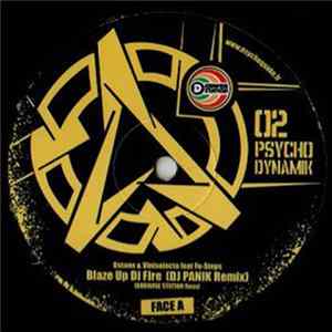 Download Various - PSychoDynamiK 02