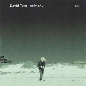 Download David Torn - Only Sky