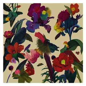 Download Washed Out - Paracosm