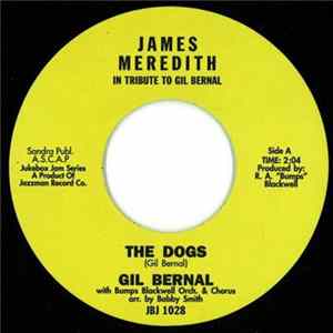 Download Gil Bernal - The Dogs / James