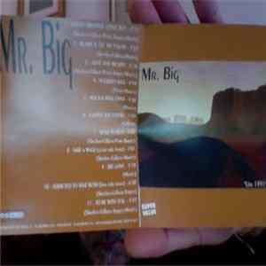 Download Mr. Big - Live 1991