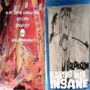 Download Audiocum - Blakkened Noise Insane