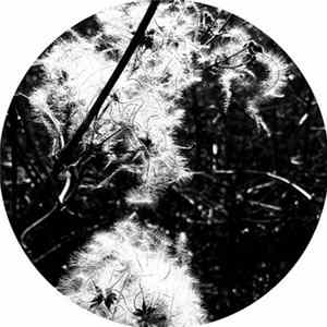 Download Joachim Spieth - Irradiance Reworked