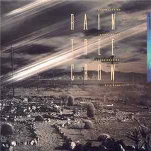 Download Rain Tree Crow - Rain Tree Crow