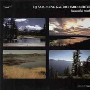 Download DJ Sam-Pling feat. Richard Burton - Beautiful World