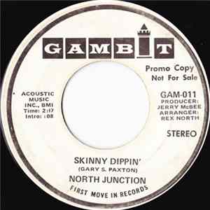 Download North Junction - Skinny Dippin'