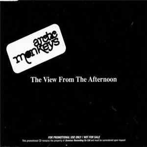 Download Arctic Monkeys - The View From The Afternoon