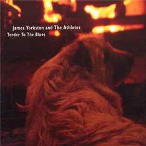 Download James Yorkston And The Athletes - Tender To The Blues