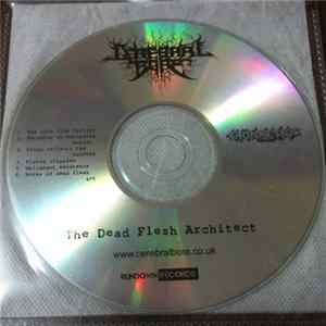 Download Cerebral Bore - The Dead Flesh Architect