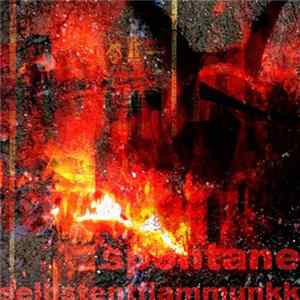 Download Dr. Walker - Spontane Selbstentflammunkk