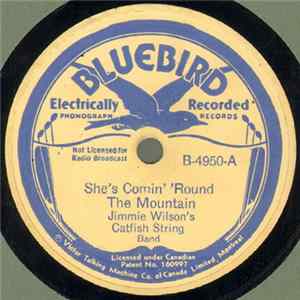 Download Jimmie Wilson's Catfish String Band - She's Comin' 'Round The Mountain / Catfish Whiskers