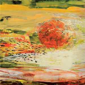 Download Bird People - Lahn Sunset Drone