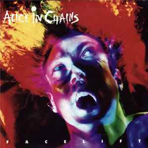 Download Alice In Chains - Facelift