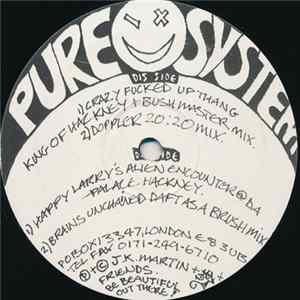 Download Pure System - Crazy Fucked Up Thang
