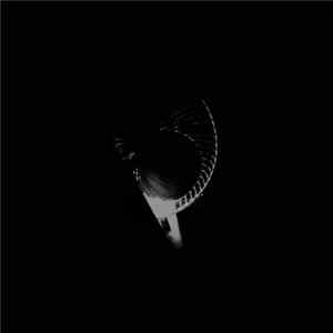 Download Nyctophiliac - Isolation