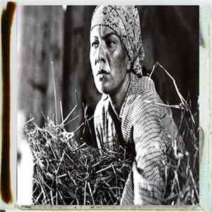 Download Yellow Belly - Grzech Antoniego Grudy