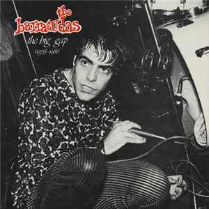 Download The Barracudas - The Big Gap (1978-1981)