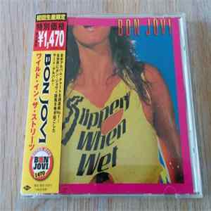 Download Bon Jovi - Slippery When Wet